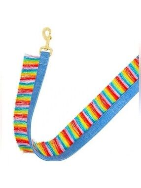 NWT You’re Loved 4ft Pride Rainbow Fringe & Denim Pet Leash PetSmart Colorful